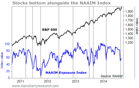 stocks and NAAIM index